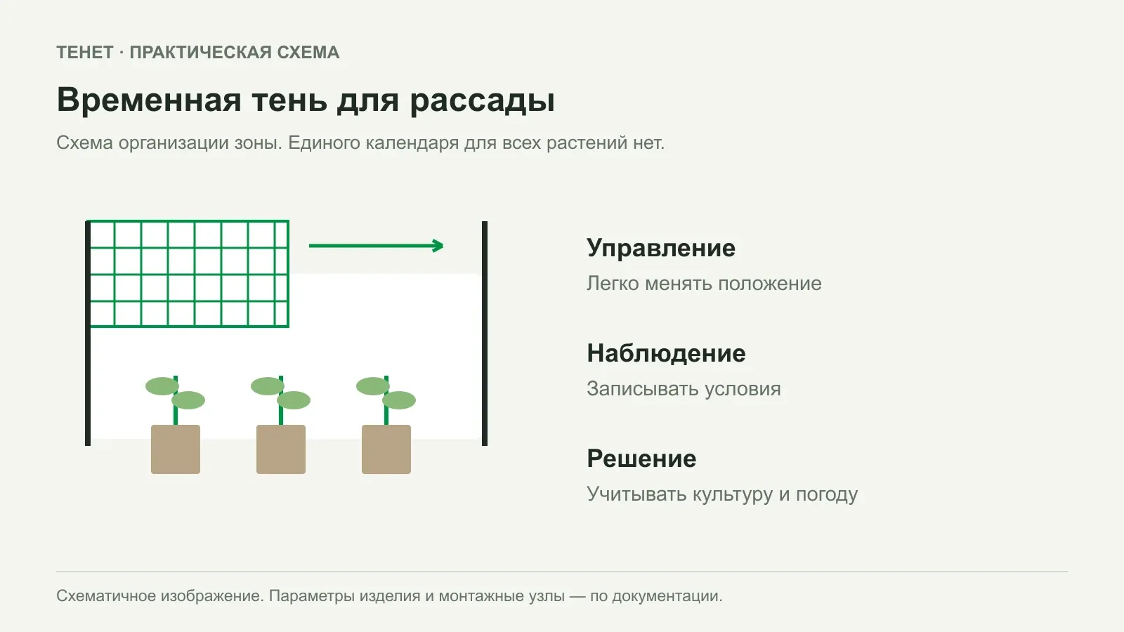 Съёмное затенение рассады: как организовать постепенную смену условий