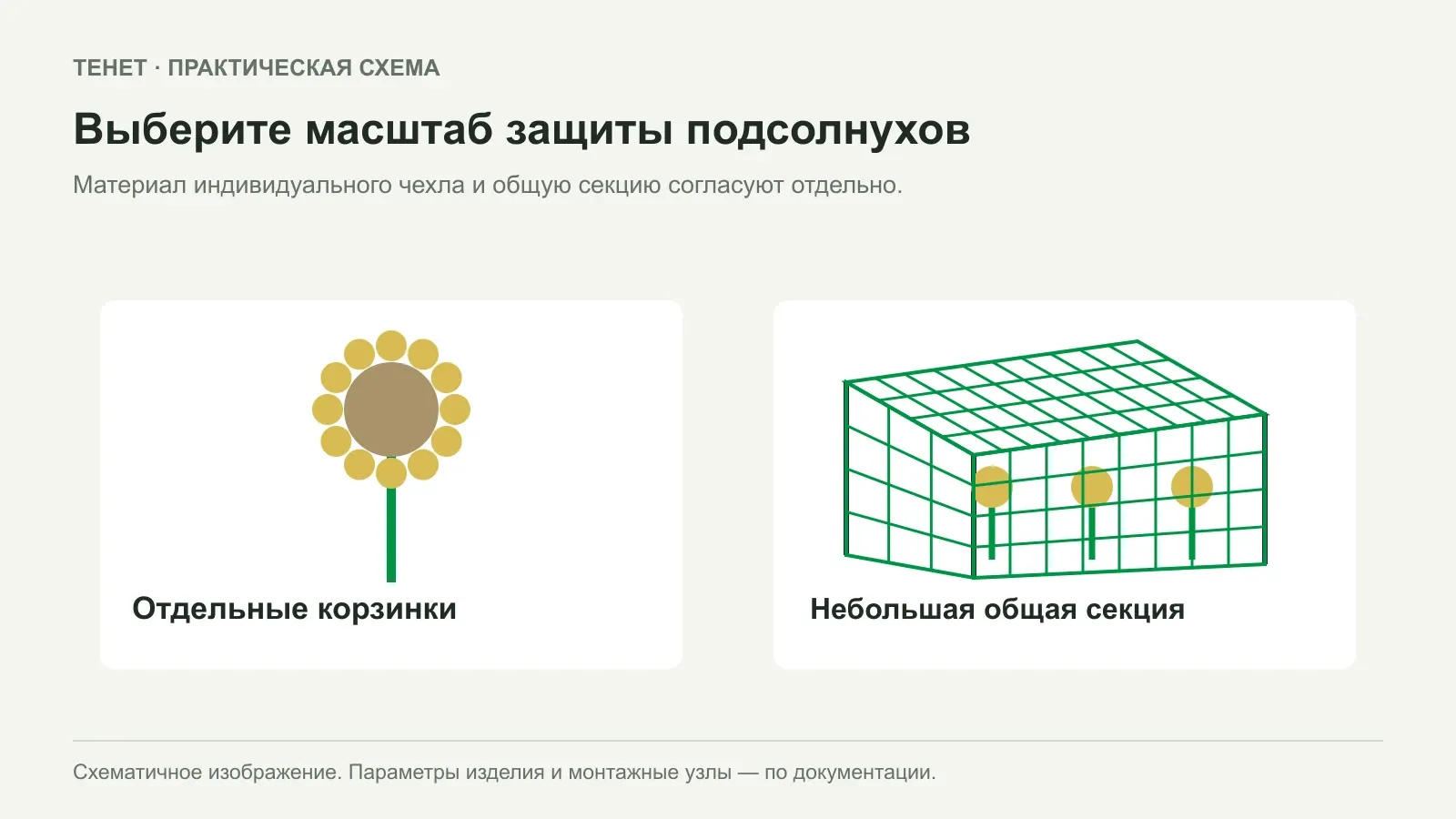 Как защитить созревающие подсолнухи от птиц без сплошного укрытия участка