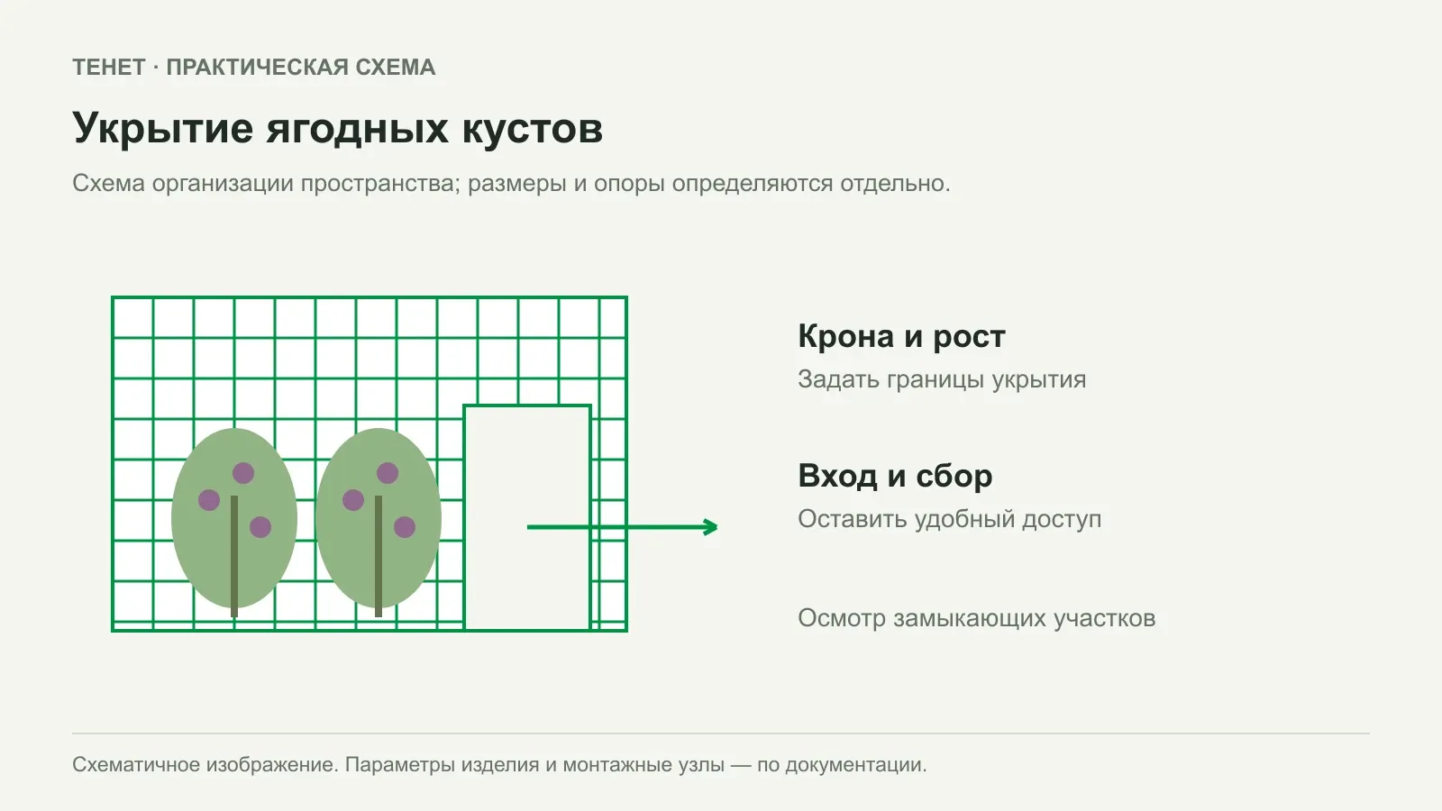 Укрытие ягодных кустов сеткой: каркас с доступом для сбора