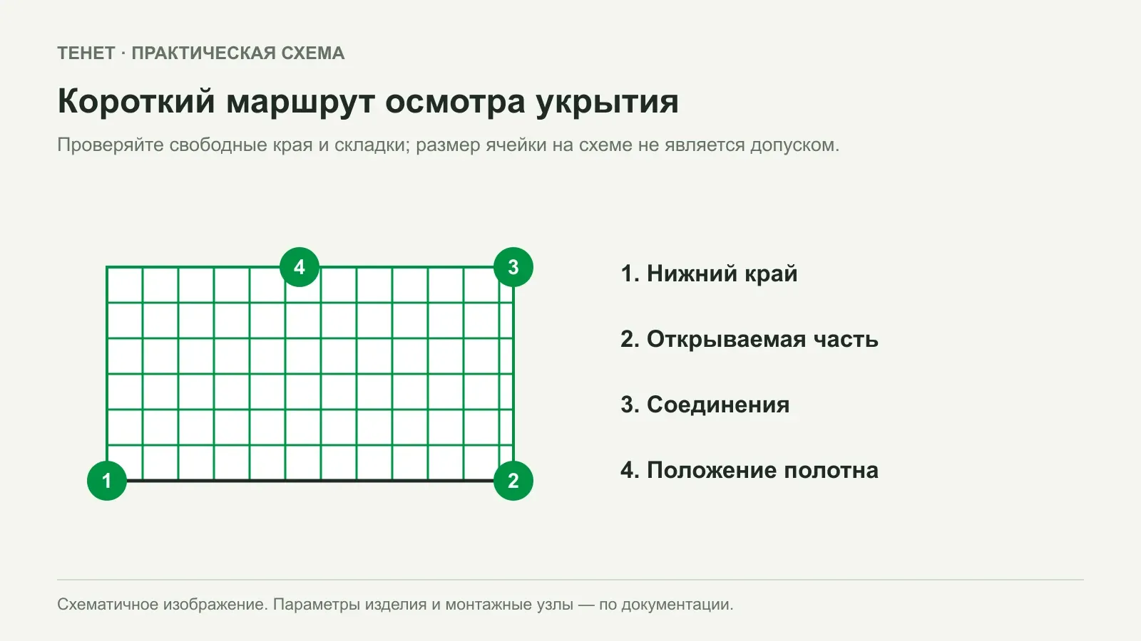 Как не запутать птиц в садовой сетке: ошибки установки и осмотр
