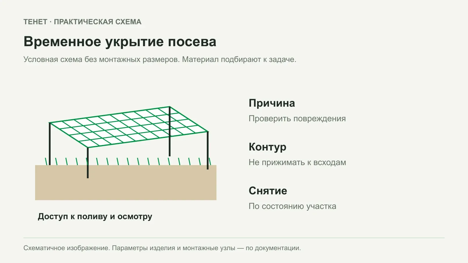 Как защитить свежезасеянный газон от птиц на время всходов