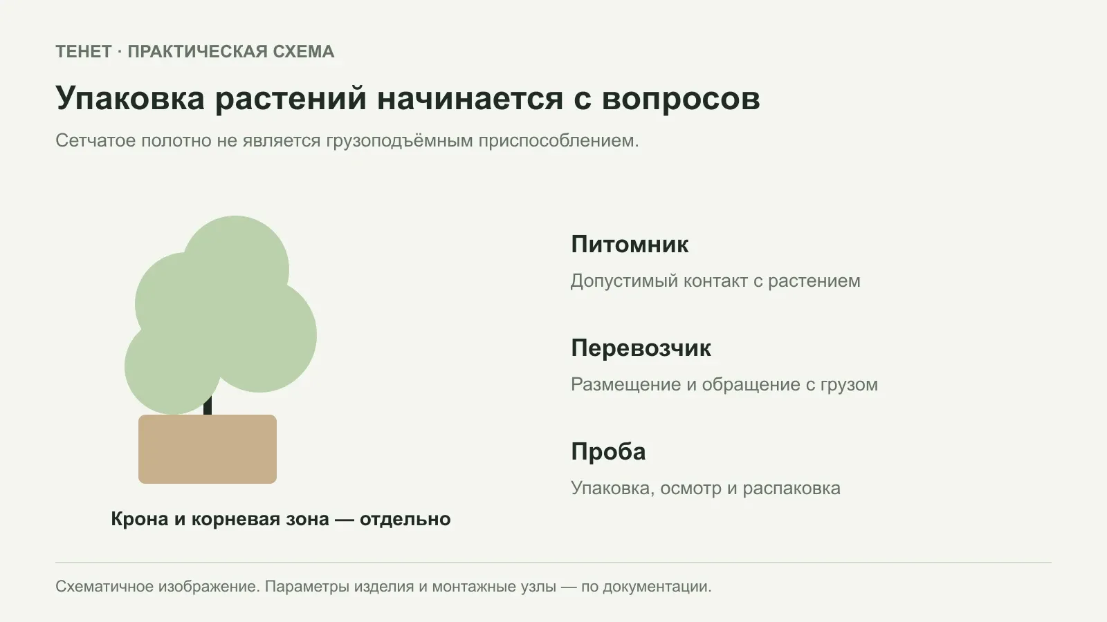 Упаковка саженцев и деревьев сеткой: что уточнить у питомника и перевозчика
